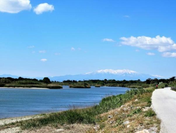 Coquet Studio A 150M De La Plage Apartman Le Barcarès Kültér fotó