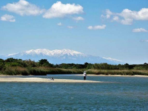 Coquet Studio A 150M De La Plage Apartman Le Barcarès Kültér fotó